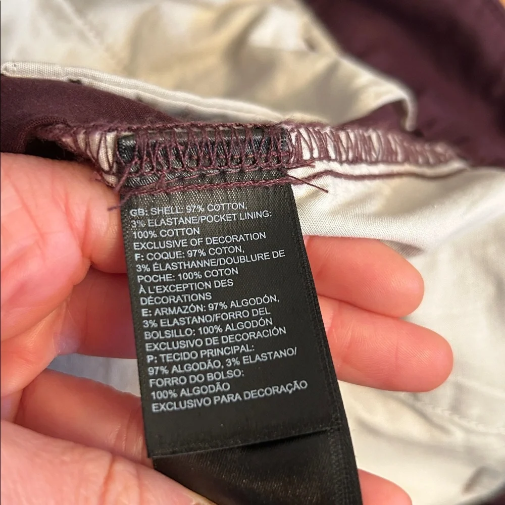 The North Face Dark Purple Ankle Chino Pants size Women’s 2